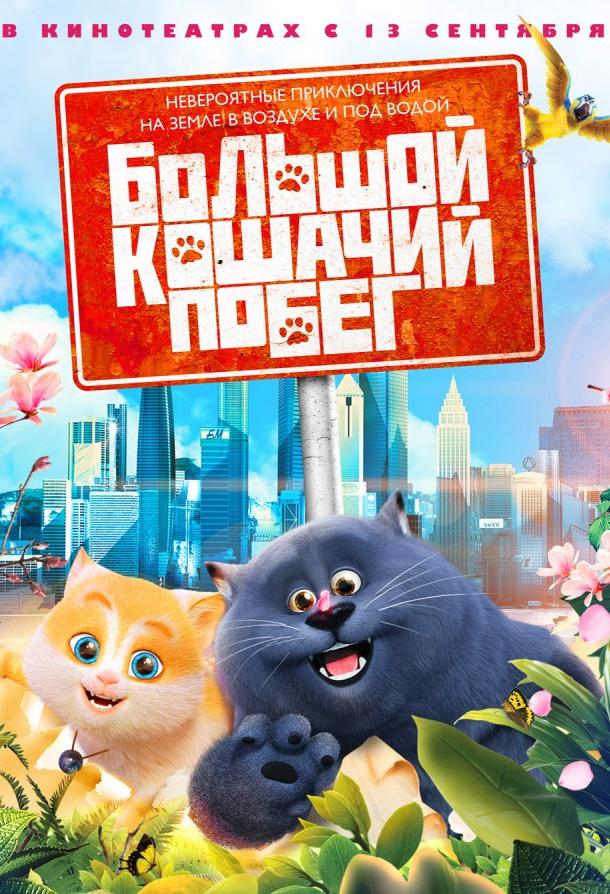 Кошачий рай