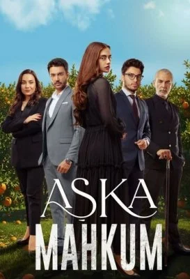 Заключенный любви